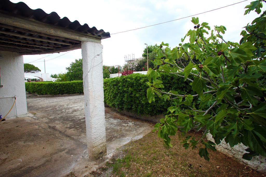 Paradise Patu Exterior photo