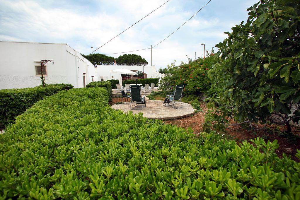 Paradise Patu Exterior photo